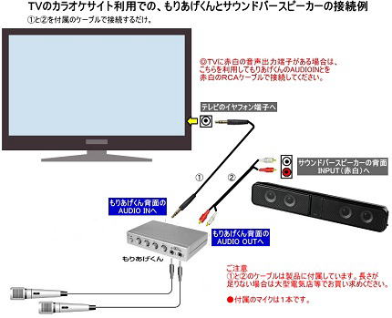 Joysound Tv ジョイサウンドテレビ 推奨カラオケマイク各種 最新型はキーコントロール機能とワイヤレスマイク2本付き